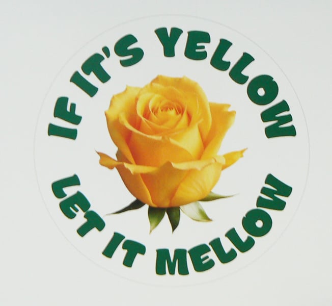 /img/if-it-s-yellow-decal-yellow.jpg